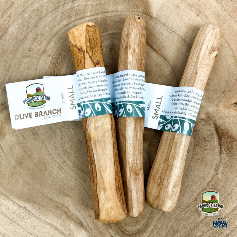 Olive Wood